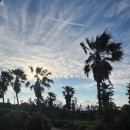 제주도 적당한게스트하우스 이미지