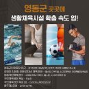 군민운동장씨름장 이미지