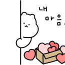 오버트플라워 이미지
