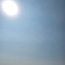 행복한 솥뚜껑 김치삼겹살 이미지