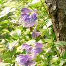 광덕1로3 이미지