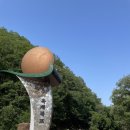 충북 영동 여행지 옥계폭포 추천 – 자연 속 힐링 산책 후기
