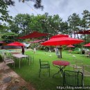 더블링독 이미지