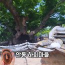 안동권씨 열녀각 | 안동 하회마을 아이랑 다녀오는 팁