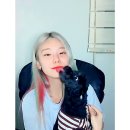 예지네일 이미지