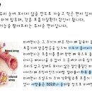 반딧불이키즈 이미지