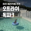 오프커피파주산내 | 오프리쉬 독파크 파주 애견카페 잔디운동장 수영장 리뉴얼 후기