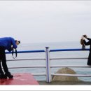 아이리스 이미지