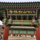 송림사부동산