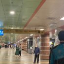 씨유서울대공원호랑이점 | [국내여행] 서울 근교 서울대공원 동물원 테마가든 주말 나들이