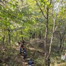 1월17일(토요일) 해파랑길-50코스(강원/고성) 바다가 아름다운 해안 트레킹 통일전망대 마지막 코스 이미지