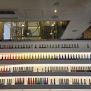 팰리스골드네일 이미지