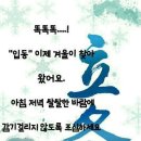 김동석농가 | [24절기 시] [입동(立冬) 시] [입동 시] 입동에 관한 시모음 140편