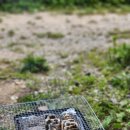 늘편한캠핑장 이미지