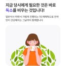 미리안나비 이미지