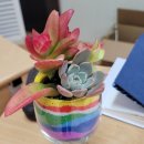 주월1동 행정복지센터 이미지