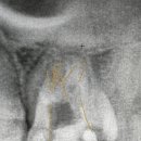 오송다온치과의원 이미지