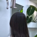 그린리그린리(greenlygreenly)