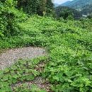 계란리 마을회관 이미지