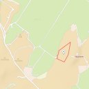 스카이랜드부동산중개법인 이미지