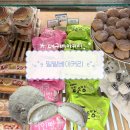 초이1982 | [밀밭베이커리 미인점]대구맛집/대구빵집/천하제빵/대구미인빵/메론빵