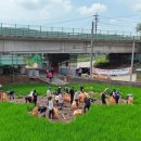 세종시_의회사무처 이미지