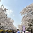 나무아래서(푸드트럭) 이미지