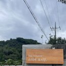 스테이보늬밤