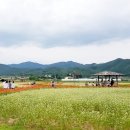 호수에 담다 이미지
