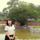 강골민박 이미지