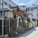 장안51 | 강릉 맛집리스트 벌집, 장안횟집, 정은숙 초당순두부 내돈내산 방문후기