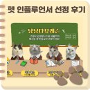 2021 가정의달 | 2025년 12월 네이버 펫 인플루언서 선정 후기(세 번째 지원)