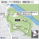 백제가공 이미지