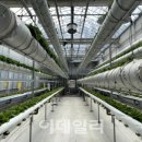 에스필 주식회사