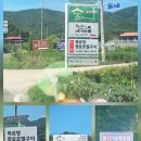 숲을 그리다 이미지