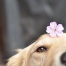 청바지투어 이미지