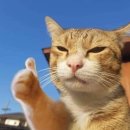 동산 노래연습장 이미지