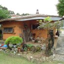 약초농원민박 이미지