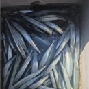 산호섬레져
