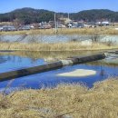 동촌1리 이미지