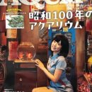 아쿠아라이프 이미지