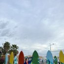 Cabo San Lucas 낙타체험 정보/가격/후기