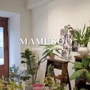 상업용 69 | 논현동 24시간 꽃집 찾았다 나무수 플라워앤가든 휘커스 움베르타 픽업 후기