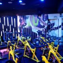 에스비 짐 이미지