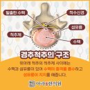 아라한의원 이미지