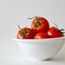 토마토정형외과의원 이미지