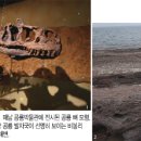 장원모민박 Daum카페
