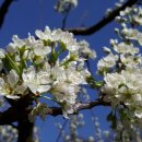 성자골2 이미지