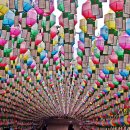 안국선원 이미지