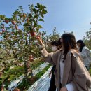 백봉초 장암분교 이미지